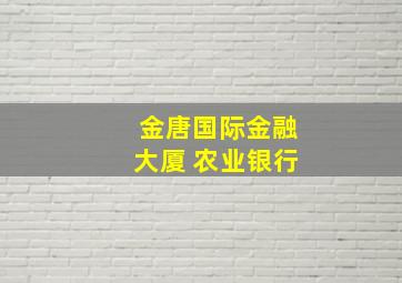 金唐国际金融大厦 农业银行